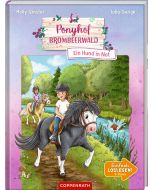 Ponyhof Brombeerwald (Erstlesebuch, Bd. 3)
