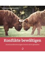 Konflikte bewältigen