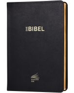 Schlachter 2000 Bibel - Standardausgabe (Kalbsleder-Ausgabe, flexibler Einband, Goldschnitt, schwarz)
