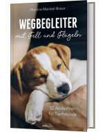 Wegbegleiter mit Fell und Flügeln