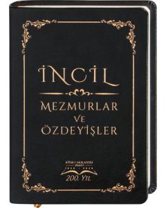 NT türkisch
