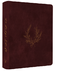 NeÜ LIEBEZURBIBEL (Schreibrandbibel WINE)