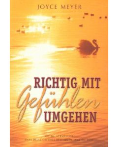 Richtig mit Gefühlen umgehen (Occasion)