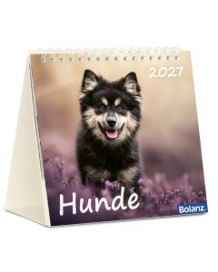 Hunde 2027 Tischkalender