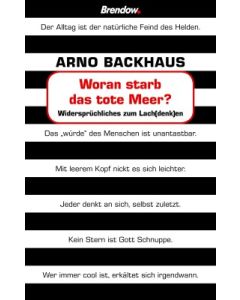 Woran starb das tote Meer?  (Occasion)