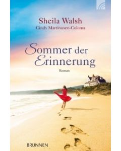 Sommer der Erinnerung (Occasion)