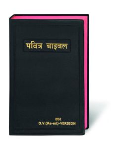 Bibel Hindi