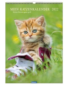 Mein Katzenkalender 2022 - Wandkalender