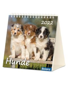 Hunde 2022 - Tischkalender