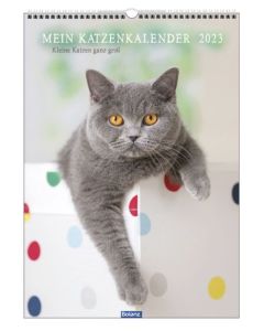 Mein Katzenkalender 2023 - Wandkalender