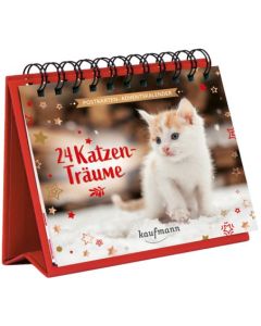 24 Katzenträume - Adventskalender