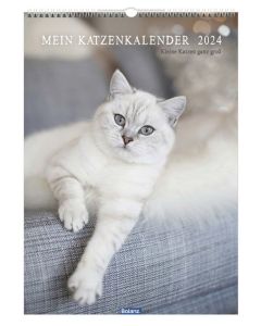 Mein Katzenkalender 2024 - Wandkalender
