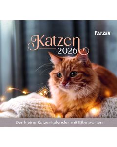 Katzen - Tischkalender 2026