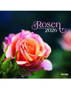Rosen - Wandkalender 2026