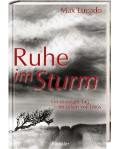 Ruhe im Sturm (Occasion)