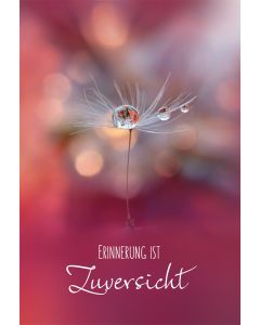 Erinnerung ist Zuversicht