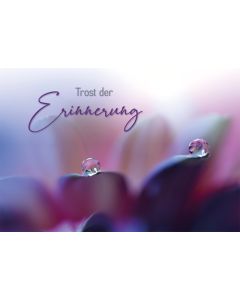 Trost der Erinnerung