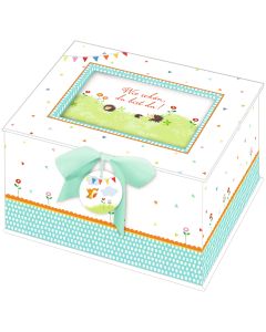 Baby-Schatzkästchen