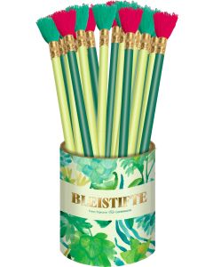 Bleistifte mit Quaste