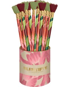 Bleistifte mit Quaste