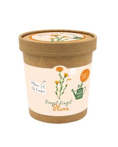 Ringel-Ringel-Blume