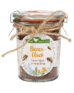 Bienenglück - Sommerblumen für emsige Bienen