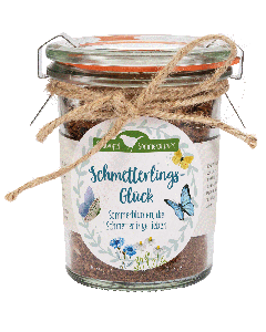 Schmetterlingsglück - Sommerblumen, die Schmetterlinge lieben
