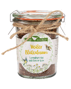 Weißer Blütentraum - Sommerblumen für mehr Natur im Garten