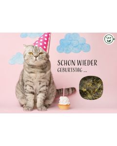 Schon wieder Geburtstag ...