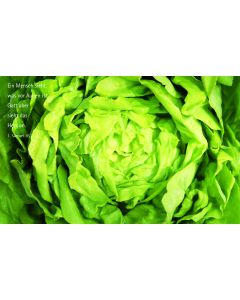 Vesperbrettchen / Frühstücksbrettchen Salat