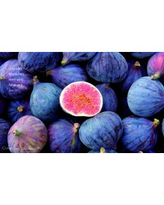 Vesperbrettchen / Frühstücksbrettchen Feigen