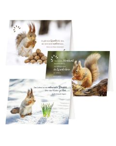 3er-Set Grußkarten »Über die kleinen Wunder«