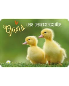 Gans liebe Geburtstagsgrüße