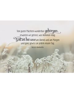 Von guten Mächten wunderbar geborgen, erwarten wir getrost, was kommen mag.