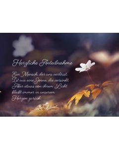 Herzliche Anteilnahme - Ein Mensch, der uns verlässt, ist wie eine Sonne