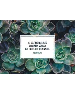"Du bist mein Schutz und mein Schild; ich hoffe auf dein Wort. Psalm 119,114"