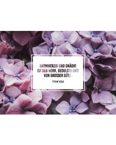 Barmherzig und gnädig ist der Herr, geduldig und von großer Güte. Psalm 103,8