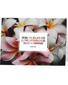 Er gebe Dir, was Dein Herz begehrt und erfülle alles, was du dir vornimmst. Psal