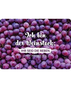 Postkarte 'Ich bin der Weinstock; ihr seid die Reben.'