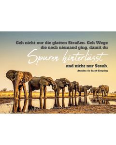 Postkarte 'Geh nicht nur die glatten Straßen. Geh Wege, die