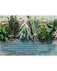 Postkarte 'Kräuter' 1EX