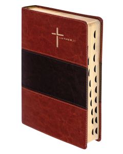 Luther21