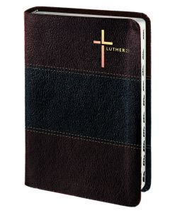 Luther21