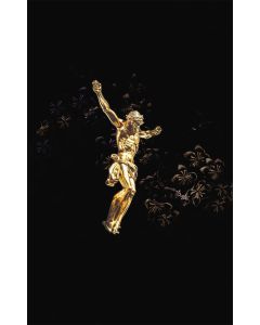 Hoffnung für alle. Die Bibel - "Golden Jesus Edition"