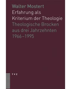 Erfahrung als Kriterium der Theologie