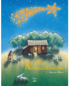 Der Weihnachtsstern