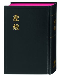 Bibel Chinesisch (Shangti Edition)