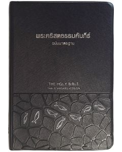 Bibel Thai
