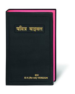Bibel Hindi