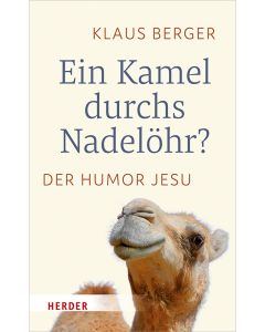 Ein Kamel durchs Nadelöhr?